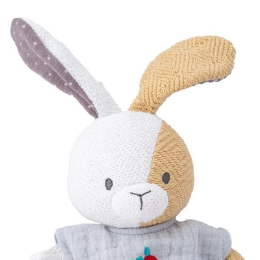 Buster the Bunny - Organic Cotton Soft Toy