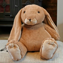 Large Brown Bunny