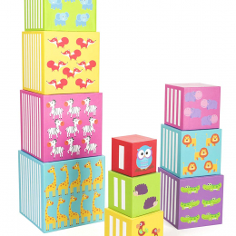 Play and Learn Stacking Blocks