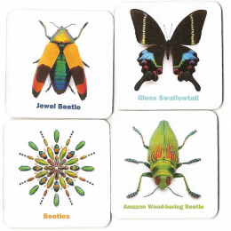 Christopher Marley's Incredible Insects Memory Game