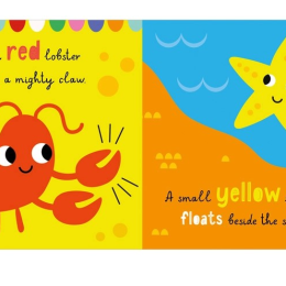 Splish Splash Little Turtle - Bathtime Book by Little Stars