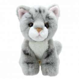 Wilberry Mini's - Grey Cat