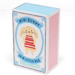 Mini Bunny In a Little Box