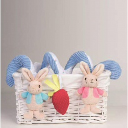 Peter Rabbit & Flopsy Bunny Activity Spiral