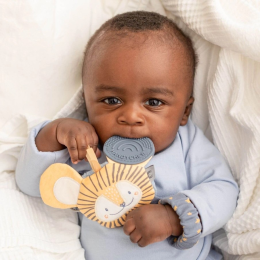 Cheeky Animals Comfort and Chew Teether Gift Set