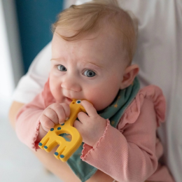 Giraffe Teether