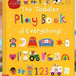 The Toddler Playbook of Everything