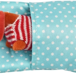 Mini Sausage Dog In a Little Box