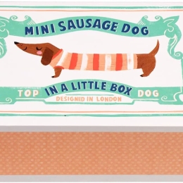 Mini Sausage Dog In a Little Box