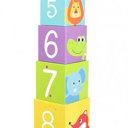 Play and Learn Stacking Blocks