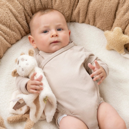 Nattou Teddy - Giraffe Doudou/Comforter
