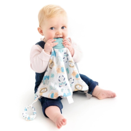 Cheeky Animals Comfort and Chew Teether Gift Set