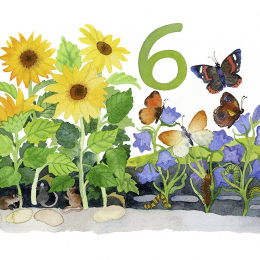 Numbers in the Garden Board Book