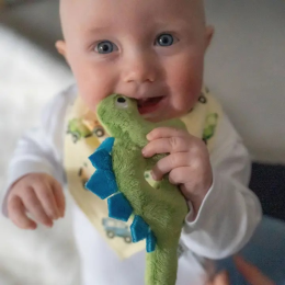 Dinosaur Plush Ring Rattle