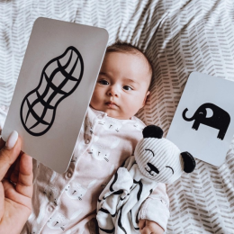 Newborn Sensory Flashcards  **Award Winning Toy**
