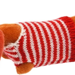 Mini Sausage Dog In a Little Box