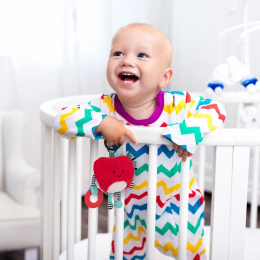 Squish and Snugg on the Go Apple