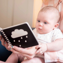 My First Sensory Mirror Book