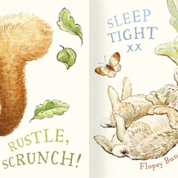 Night Night Peter Rabbit Cloth Book