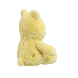 My First Funshine Bear