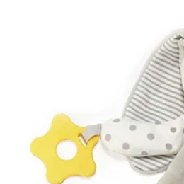 Bloom Activity Toy