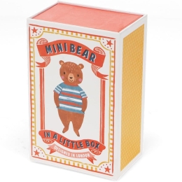 Mini Bear In a Little Box