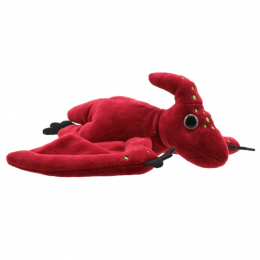 Pterodactyl Soft Toy - Wilberry Dinosaurs