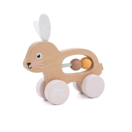 Baby Bunny Wooden Toy Gift Set