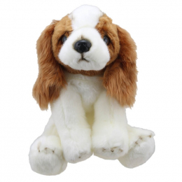 King Charles Spaniel - Wilberry Favourites