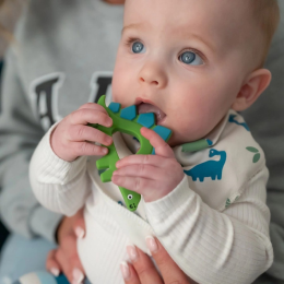 Dinosaur Teether